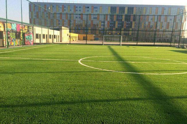 人造草坪生產(chǎn)、施工安排